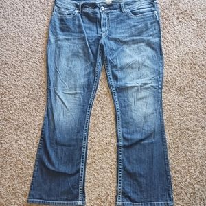 Silver Suki Bootcut Plus Size Jeans 22/32